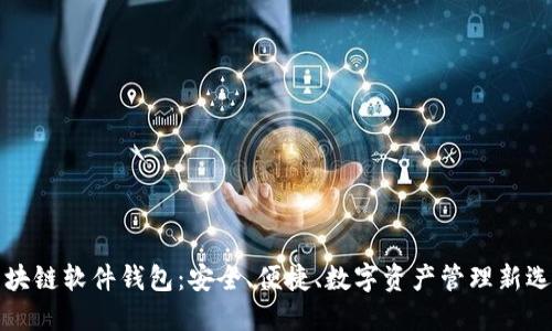 区块链软件钱包：安全、便捷、数字资产管理新选择
