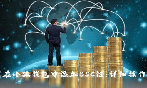 如何在小狐钱包中添加BSC链：详细操作指南