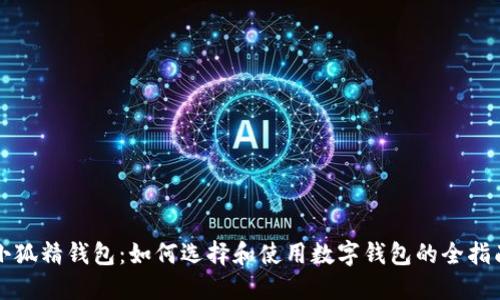 小狐精钱包：如何选择和使用数字钱包的全指南