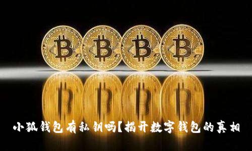 小狐钱包有私钥吗？揭开数字钱包的真相