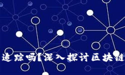区块链钱包能追踪吗？深入探讨区块链隐私与安全性