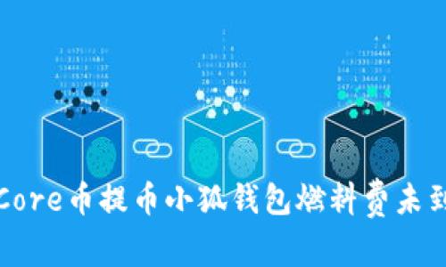 如何解决Core币提币小狐钱包燃料费未到账的问题
