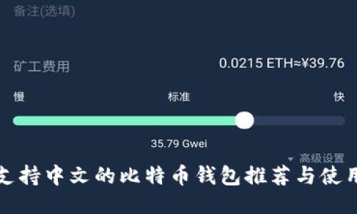 最佳支持中文的比特币钱包推荐与使用指南