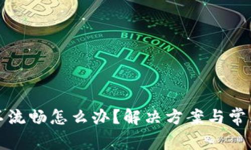 小狐钱包不流畅怎么办？解决方案与常见问题解析