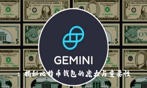 : 揭秘比特币钱包的庞大与重要性