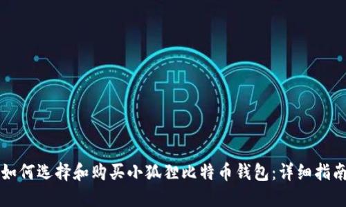 如何选择和购买小狐狸比特币钱包：详细指南