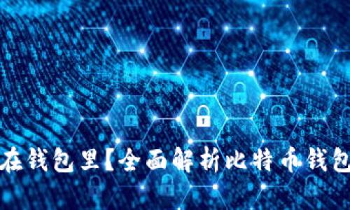 比特币为何选择放在钱包里？全面解析比特币钱包的安全性与便捷性