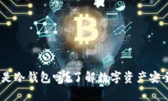 MetaMask 是冷钱包吗？了解