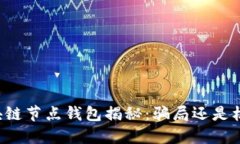 区块链节点钱包揭秘：骗
