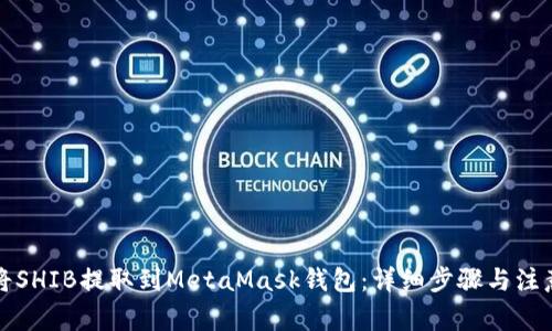 如何将SHIB提取到MetaMask钱包：详细步骤与注意事项