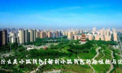 ### 什么是小狐钱包？解析