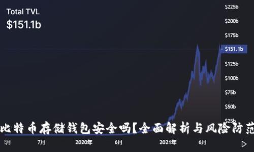 比特币存储钱包安全吗？全面解析与风险防范
