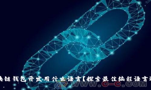 区块链钱包开发用什么语言？探索最佳编程语言选择