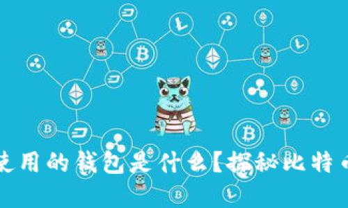 比特币最初使用的钱包是什么？探秘比特币发展的历程
