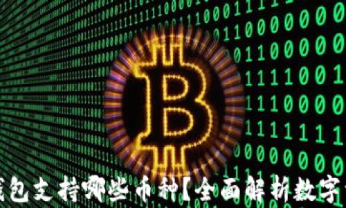 
以太坊钱包支持哪些币种？全面解析数字资产存储