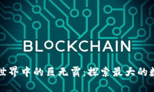 区块链世界中的巨无霸：探索最大的数字钱包