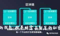 《狐狸的钱包：探寻财富