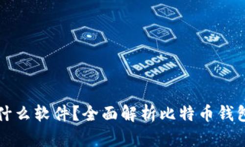 比特币钱包是什么软件？全面解析比特币钱包的功能与类型