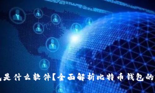 比特币钱包是什么软件？全面解析比特币钱包的功能与类型