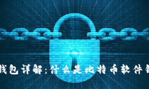 优质比特币软件钱包详解：什么是比特币软件钱包及其使用指南