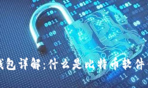 优质比特币软件钱包详解：什么是比特币软件钱包及其使用指南