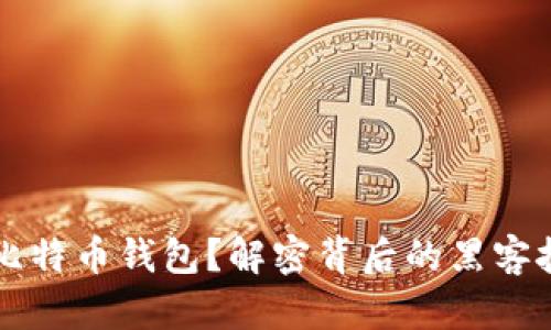 黑客如何扫描比特币钱包？解密背后的黑客技巧与防范策略