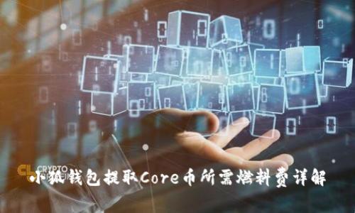 小狐钱包提取Core币所需燃料费详解