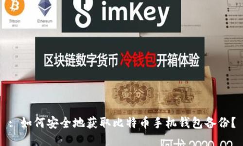 : 如何安全地获取比特币手机钱包备份？
