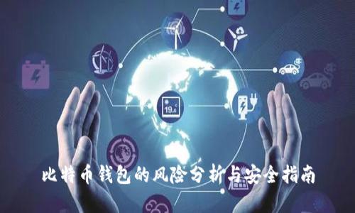 比特币钱包的风险分析与安全指南