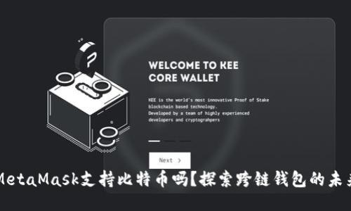 MetaMask支持比特币吗？探索跨链钱包的未来