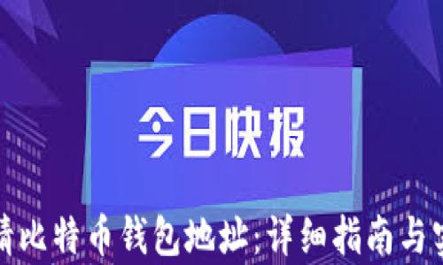 
如何申请比特币钱包地址：详细指南与实用技巧
