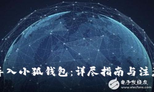 如何导入小狐钱包：详尽指南与注意事项
