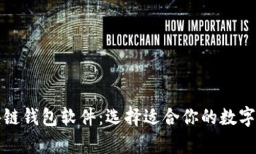 全面解析区块链钱包软件：选择适合你的数字资产管理工具
