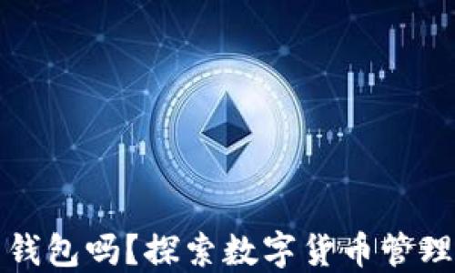 
虚拟币一定要用钱包吗？探索数字货币管理的方式与安全性