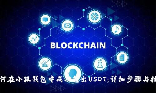 如何在小狐钱包中成功转出USDT：详细步骤与技巧