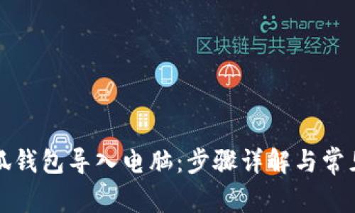 如何将小狐钱包导入电脑：步骤详解与常见问题解析