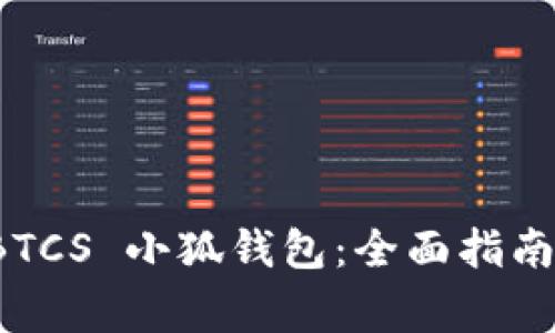 如何测试 BTCS 小狐钱包：全面指南与注意事项