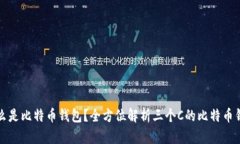 什么是比特币钱包？全方