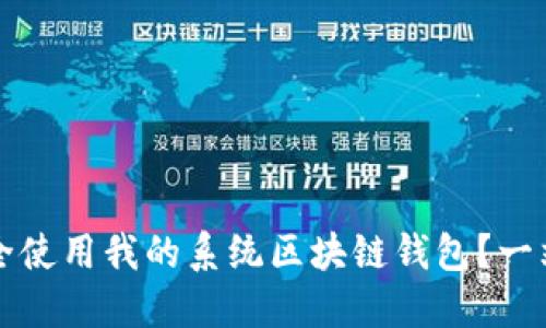 如何安全使用我的系统区块链钱包？一站式指南