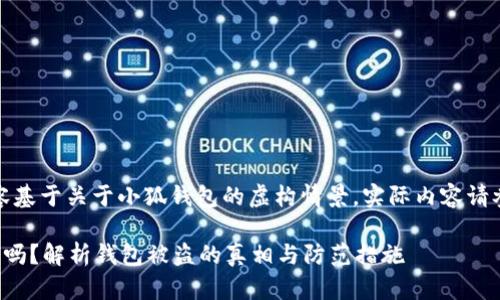 注意：以下内容基于关于小狐钱包的虚构情景，实际内容请参考官方信息。

小狐钱包安全吗？解析钱包被盗的真相与防范措施