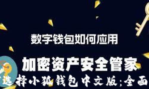 
如何选择小狐钱包中文版：全面指南