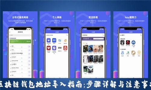 
区块链钱包地址导入指南：步骤详解与注意事项