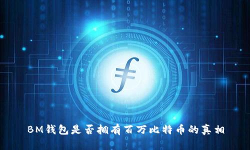 BM钱包是否拥有百万比特币的真相
