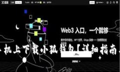 : 如何在安卓手机上下载小