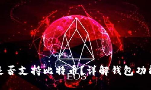 小狐狸钱包是否支持比特币？详解钱包功能与使用技巧