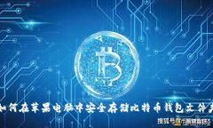 如何在苹果电脑中安全存