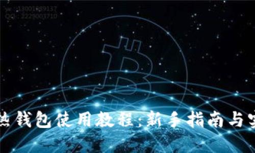 区块链热钱包使用教程：新手指南与实用技巧