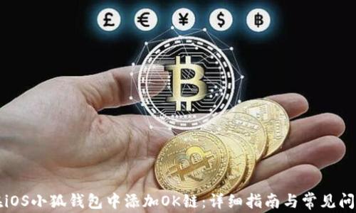 
如何在iOS小狐钱包中添加OK链：详细指南与常见问题解析
