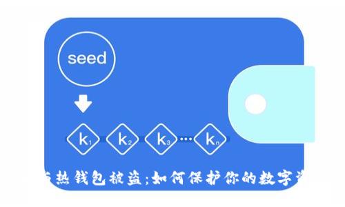 比特币与热钱包被盗：如何保护你的数字资产安全