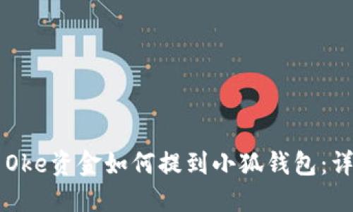 ### Oke资金如何提到小狐钱包：详尽指南